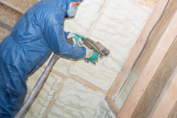 Best Basement Insulation  in Dickinson, TX